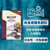 Hikari 高夠力 大型肉食性底棲魚飼料 570g 紅尾鴨嘴 魟魚 鰻魚 恐龍魚 活餌