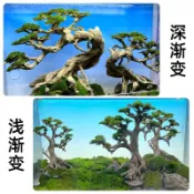 漸變色【青島水族】魚缸背景貼紙 造景背景圖 卡典西德 卡點西德 防水材質 60*30CM 藍色 淺漸變 水平漸變