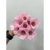 『花藝夢』泰國進口 波斯菊(水染色) 乾燥花【單支販售】 乾燥花束 永生花 花藝禮(含鐵絲)