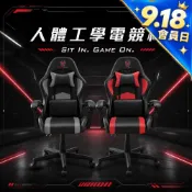 RICHOME 人體工學電競椅 / 電腦椅 / 辦公椅 / 遊戲椅 (賽車椅/附頭枕腰靠/升降久坐椅) CH1407