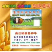 【蝦皮最低價】定製收購生豬牛羊名片白條批髮豬肉店牛肉羊肉店生鮮名片製作印刷
