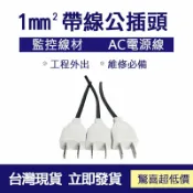GOGOLE宅家生活 👀監控配件 現貨👀經濟版AC帶線公插 帶線公插 公插頭 監視線材 監控線材 AC電源線 電源線 10A 1mm²