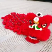 優選 舞獅 獅頭 舞龍 [30天798件]可以眨眼羊毛舞獅子兒童舞獅錶演道具獅子頭塑料幼兒園道具
