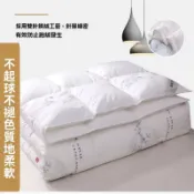 200*230cm冬被芯 羽絨被 加厚保暖冬被 棉被子 輕量保暖 8斤大雙人被 羽絨冬被 被胎 冬被 棉被