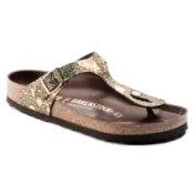 BIRKENSTOCK 勃肯 / Gizeh / 咖啡色 / 真皮