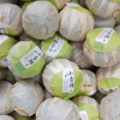小青柑茶/新會小青柑/單顆價格