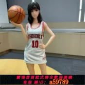 奢匯台 【廠家直銷 可打統編】（全網低價）灌籃高手無限赤木晴子手辦動漫GK周邊潮玩雕像擺件
