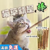 木天蓼棒「單支」貓咪木天蓼 磨牙棒 貓草 貓薄荷