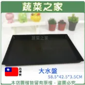 【蔬菜之家】大水盤 58.5*42.5*3.5 cm (可適用大部分尺寸端盤.穴盤) 接水盤 PP塑膠 多用途