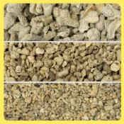 【欣盛園藝資材行】珊瑚骨 珊瑚石 珊瑚砂 菲律賓砂 純天然鹼性珊瑚骨 調節穩定PH 魚缸底砂用 過濾用 造景 底沙