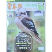 【英語雜誌】常春藤 解析英語2025年 1月號  近全新【中級】