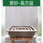 【滿額免運】長方盆 4種尺寸 中國風 多肉 紫砂花盆 透氣蘭花盆 紫砂花盆 羅漢松花盆 紫砂盆景盆 透氣 古典 綜一園藝