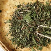 (店+)【陳家糧舍】台灣薄荷 Mint·草本茶飲·茶包·薄荷茶(薄荷葉)