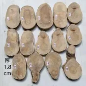 台灣櫸【紅雞油】原木年輪木片/隔熱墊茶壺墊/藝品盆景奇石陶藝擺設底座/木質墊片/雕刻裝飾用材