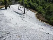 植生毯 植草毯 100M2 水土保持 防土質流失 園藝 植草最佳材料 | 綠化雨仔店