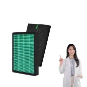 【Have Green Days 綠綠好日】適用 Pinoh品諾 DA-A1001RW DA-A1003RW 超級大王 複合式抗菌濾網
