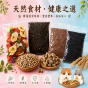 天然種子水果補給組 鸚鵡零食組 綜合果乾 小型雀鳥零食組 水果乾零食＋天然穀物種子 六種綜合營養零食【20040】