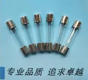 W71-1118 玻璃保險絲管 6*30mm 250V 10A 家電汽車點煙器維修