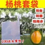 紮絲不織布水果套袋，防蟲網 防瓜實蠅 防果實蠅 絲瓜 苦瓜 蒲瓜 黃瓜套袋 植物園藝工具 瓜果防蟲網楊桃袋防蟲袋楊桃防蟲