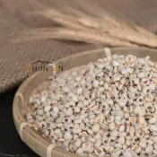 (店+)【淳歆】糙薏仁 600g 
