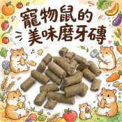 香香毛寶貝🎈 寵物鼠的美味磨牙磚 單個販售 倉鼠磨牙零食 倉鼠零食 倉鼠磨牙 布丁鼠 倉鼠點心 寵物鼠零食 鼠零食