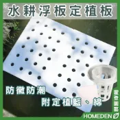 【隔日到貨】漂浮定植板 24孔 無土栽培 水培蔬菜 帶孔 水耕 種植面板 水耕泡沫塊 水上種菜【HOMEDEN霍登園藝