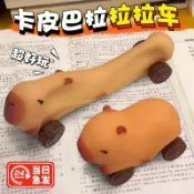 全球選品1館 生活百貨 卡皮巴拉拉拉車玩具小汽車男女孩變形滑行車解壓減壓神器兒童捏捏