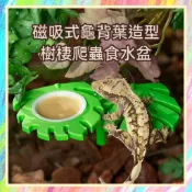 ★爬蟲新樂園★[台灣現貨]磁吸式龜背葉造型爬蟲食水盆 強力磁吸 穩固不掉落 邊角圓潤 PETG材質 安全無害 樹棲爬蟲