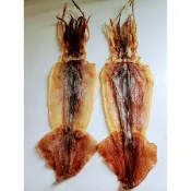 阿根廷魷魚（一尾100-110g/買10尾送一） 尤魚乾（新鮮入港）乾魷魚 一夜乾 魚翅 魷魚 魚乾 日本干貝 乾貨