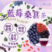 【隔日達免運】藍莓桑葚枸杞茶 藍莓茶 桑葚 3c 枸杞 冷泡茶包 水果茶包 熬夜 飲料 葉黃素 緩解疲勞 果乾茶包 茶包