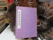 XX373 (簡)武昌革命真史 書目文獻出版 1987 