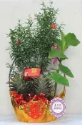 ☆孟之坊婚禮精品舘☆蓮蕉花組+芋頭組,女方訂婚回禮.結婚用品.吃茶禮盒.台南婚禮佈置