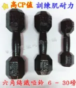 ♥︵ 樂樂時尚小舖 ︵♥【工廠直銷】 運動 健身 六角鑄鐵 “啞鈴“ 高CP值 一體成形 16磅 (現貨)