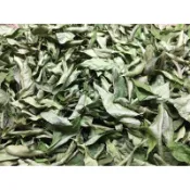 乾燥咖哩葉20G=50元料理用香草/低溫乾燥保存了原有葉綠色澤/自產自銷所以超殺價/檢驗合格/也有販售新鮮品