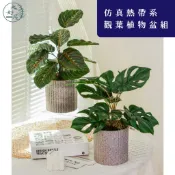 大好屋仿真花 現貨 仿真觀葉盆組 龜背葉 竹芋 旅人蕉 觀葉植物 熱帶系 仿真葉子 人造葉子 拍照道具 佈景