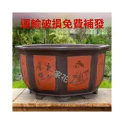 (店+)⭐加厚陶瓷特大號花盆 復古加寬加大花盆 陶瓷特大號種樹盆 家用大型花盆 室外發財樹六角花盆 紫砂花盆⭐