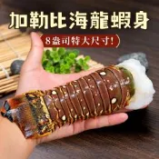 築地一番鮮-8盎司-龍蝦身 2尾(220g/尾)/去頭殼薄(生凍)龍蝦尾