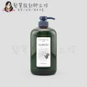 髮質設計師立坽的小窩 Lebel NHS 海藻洗髮精1000ml IH06 IH07｜立坽『洗髮精』肯邦國際公司貨｜領券再折｜換季保養 ⚡頭皮保養 水潤保濕 蓬鬆秀髮 沙龍髮品