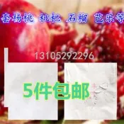 紅美人臍橙紙袋楊桃番石榴橙子貢柑橘枇杷套袋專用袋水果保護果袋