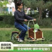 【現貨可開統編】雅士弟兒童青少年腳踏自行車寵物車親子戶外遛娃倒騎三輪車