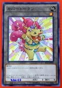【Xin Qi】遊戲王 ST16-JPT02 河馬 代幣 TOKEN (普卡)