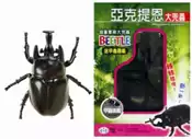 【灰熊iREAD】亞克提恩大兜蟲 孫沐紅