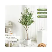 (店+)仿真綠植橄欖樹盆栽室內大型北歐風客廳服裝店裝飾假植物落地擺件居傢裝飾 仿真植物 人造樹 假樹 假植物 