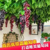 協貿國際日用品生活7館 墻面掛飾仿真葡萄串塑料水果模型幼兒園道具室內裝飾品假水果擺件