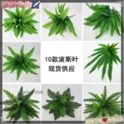免運🔥桃園出貨10款大號仿真波斯草 小波斯葉仿真花蕨葉仿真植物牆配材婚慶裝飾 蕨類綠植Tzz