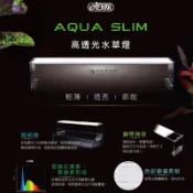 【水族事物所】ISTA 伊士達 高透光水草燈 1尺/1.2尺/1.5尺/2尺 LED 高亮度 陽性草
