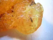 【采鑫坊】天然黃金琥珀蟲珀原礦~長86mm《低起標.無底價》~