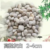 協貿國際日用品生活6館 鵝卵石南京天然小石子魚缸造景花盆裝飾盆栽園藝彩石頭庭院