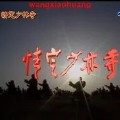 現貨!情定少林寺 又名武林奇緣 36集5張DVD蝶片 光盤 林芳兵 王伯昭無彩盒版