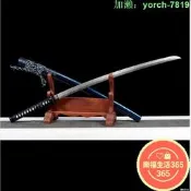 【桃園出龍泉劍武長居太肋差長劍katana未刃